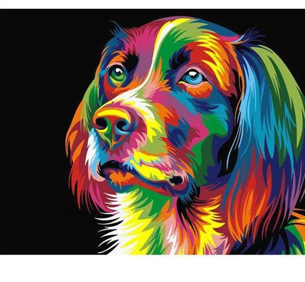 Colorful Dog - Wireless Life